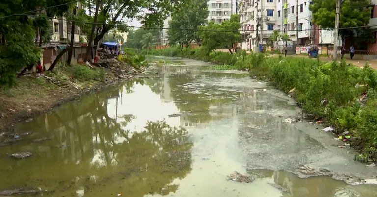 রাজধানীতে বদ্ধ ডোবা-নর্দমার কারণে মশার উৎপাত বেড়েছে